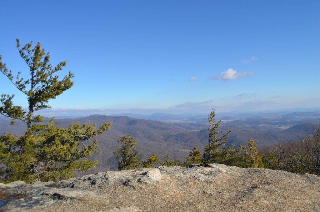 tree, mountain, shenandoah-4359032.jpg